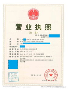 上海注冊非中介留學服務公司 類別、經營范圍與票務代理指南